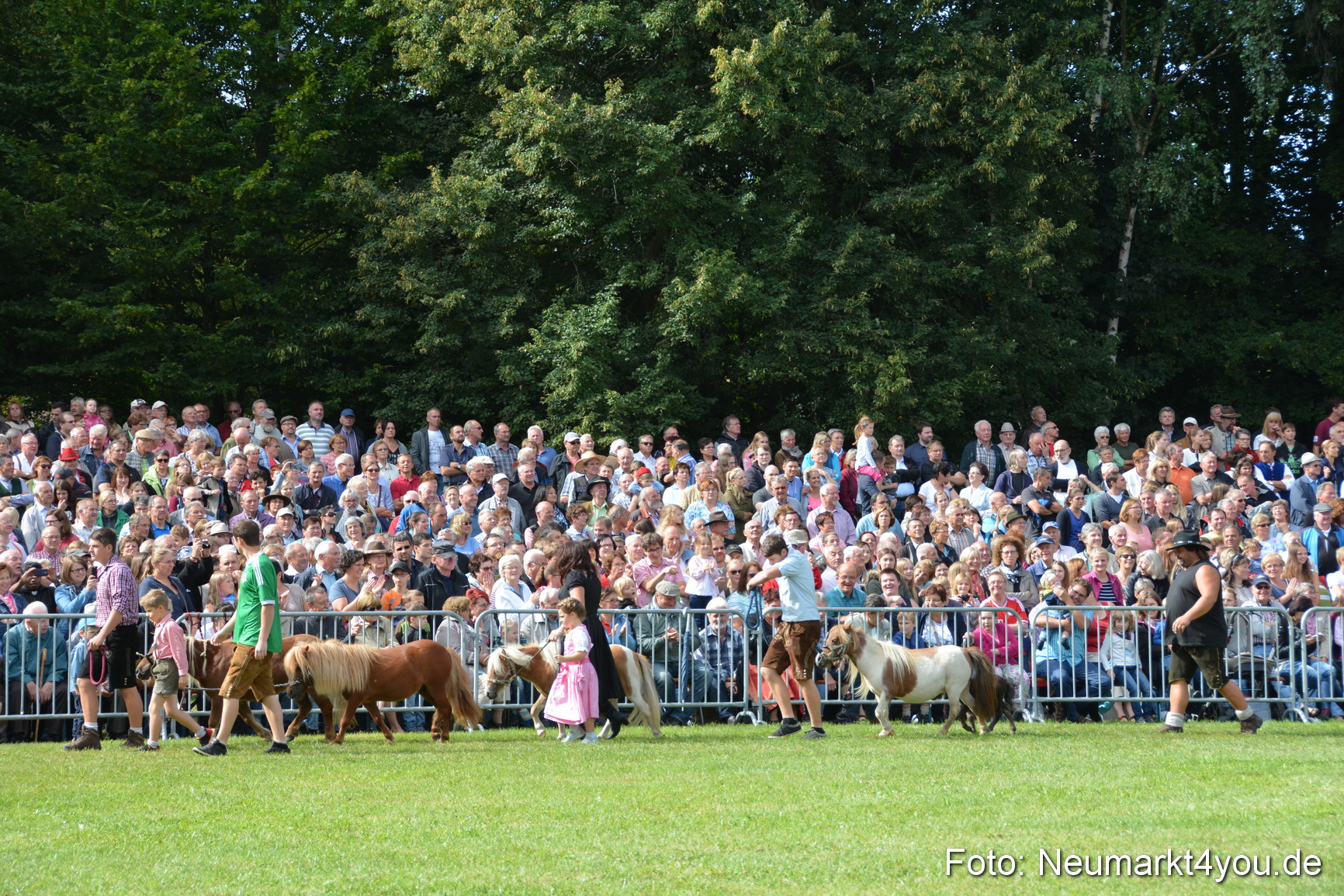 Pferde und Fohlenschau 2016 0237