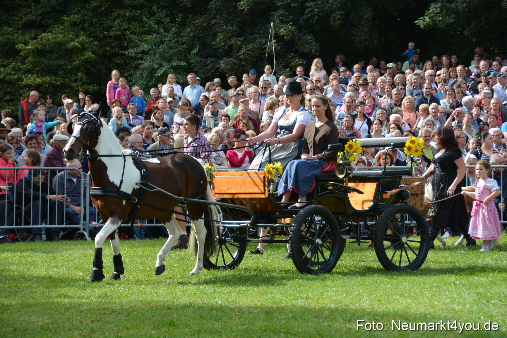 Pferde und Fohlenschau 2016 0238