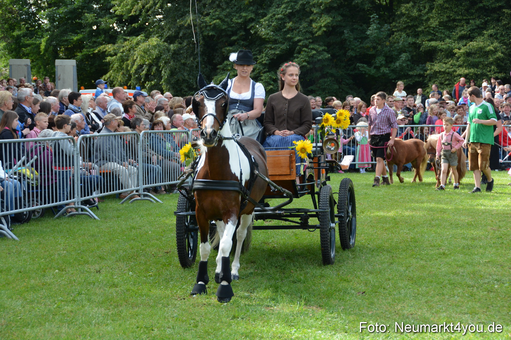 Pferde und Fohlenschau 2016 0239