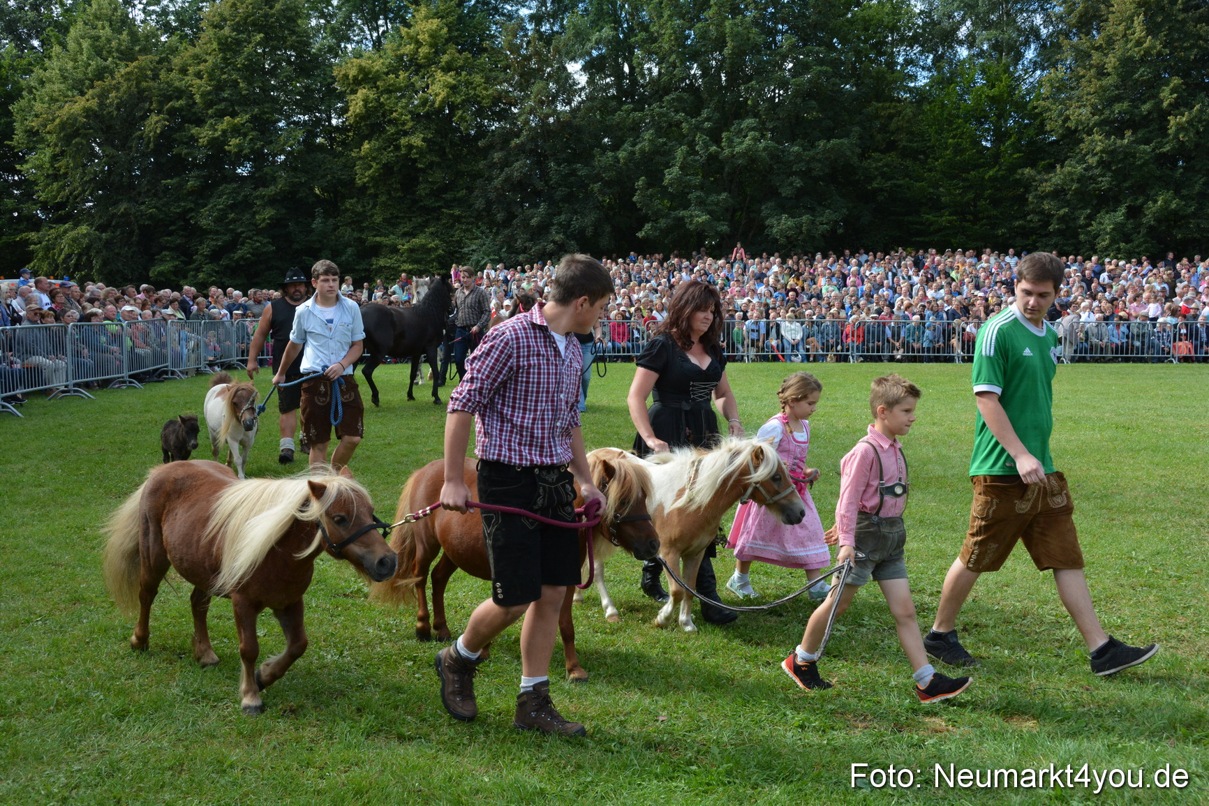 Pferde und Fohlenschau 2016 0241