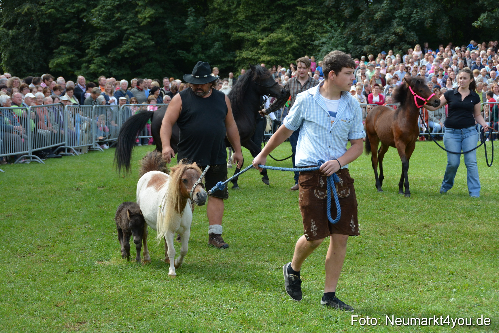 Pferde und Fohlenschau 2016 0242