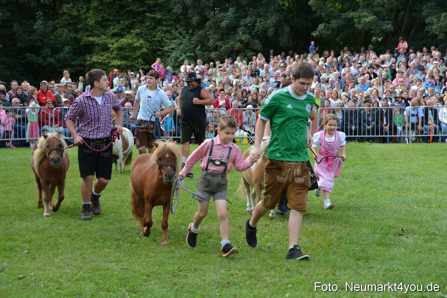 Pferde und Fohlenschau 2016 0247
