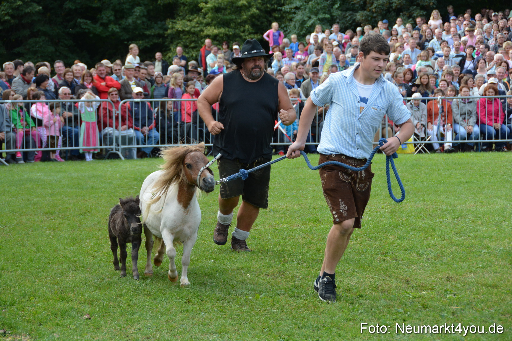 Pferde und Fohlenschau 2016 0248