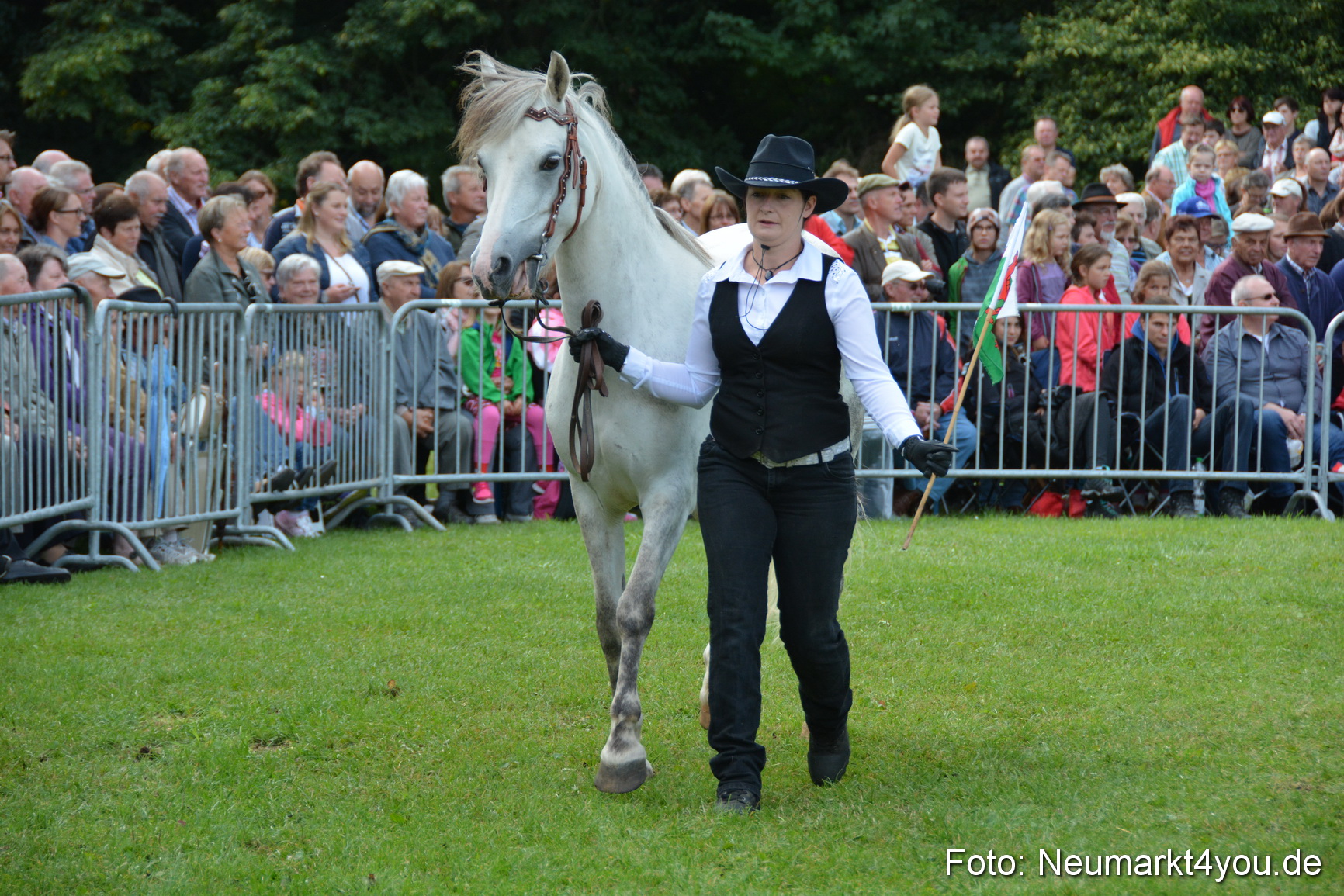 Pferde und Fohlenschau 2016 0251