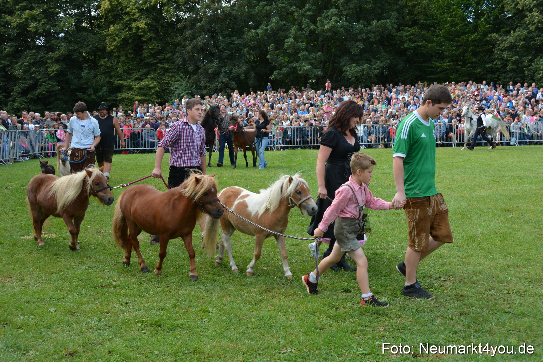 Pferde und Fohlenschau 2016 0253