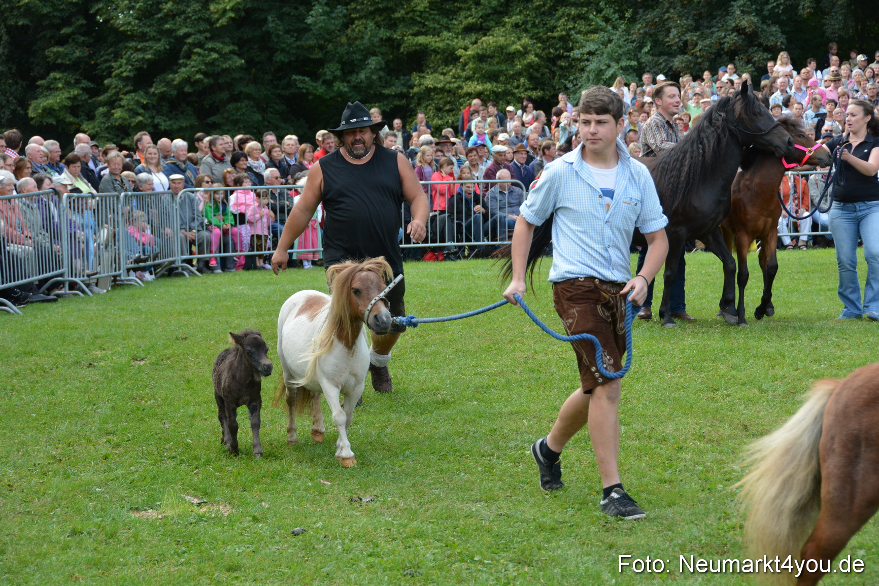 Pferde und Fohlenschau 2016 0254
