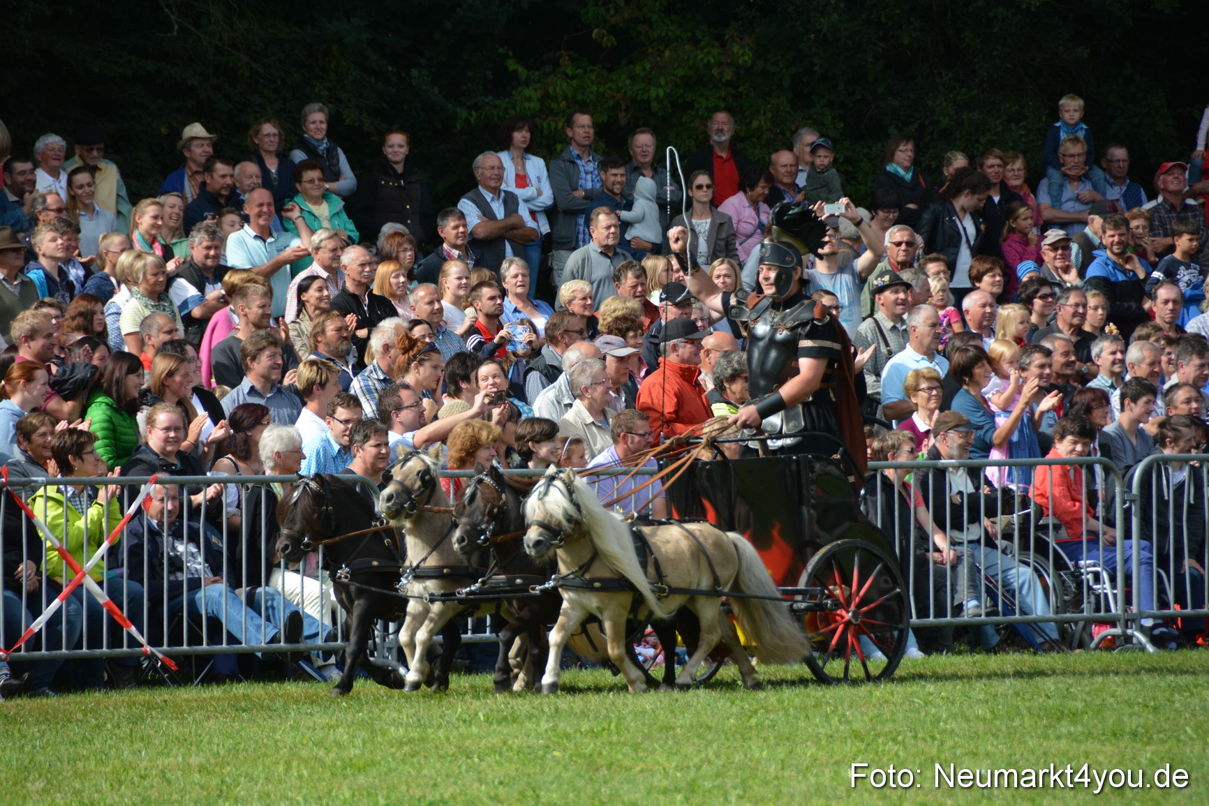 Pferde und Fohlenschau 2016 0256