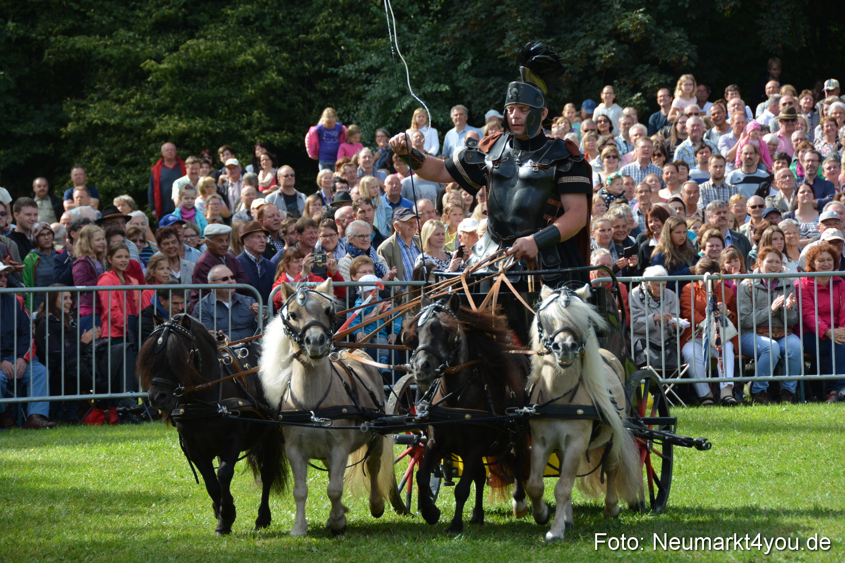 Pferde und Fohlenschau 2016 0257