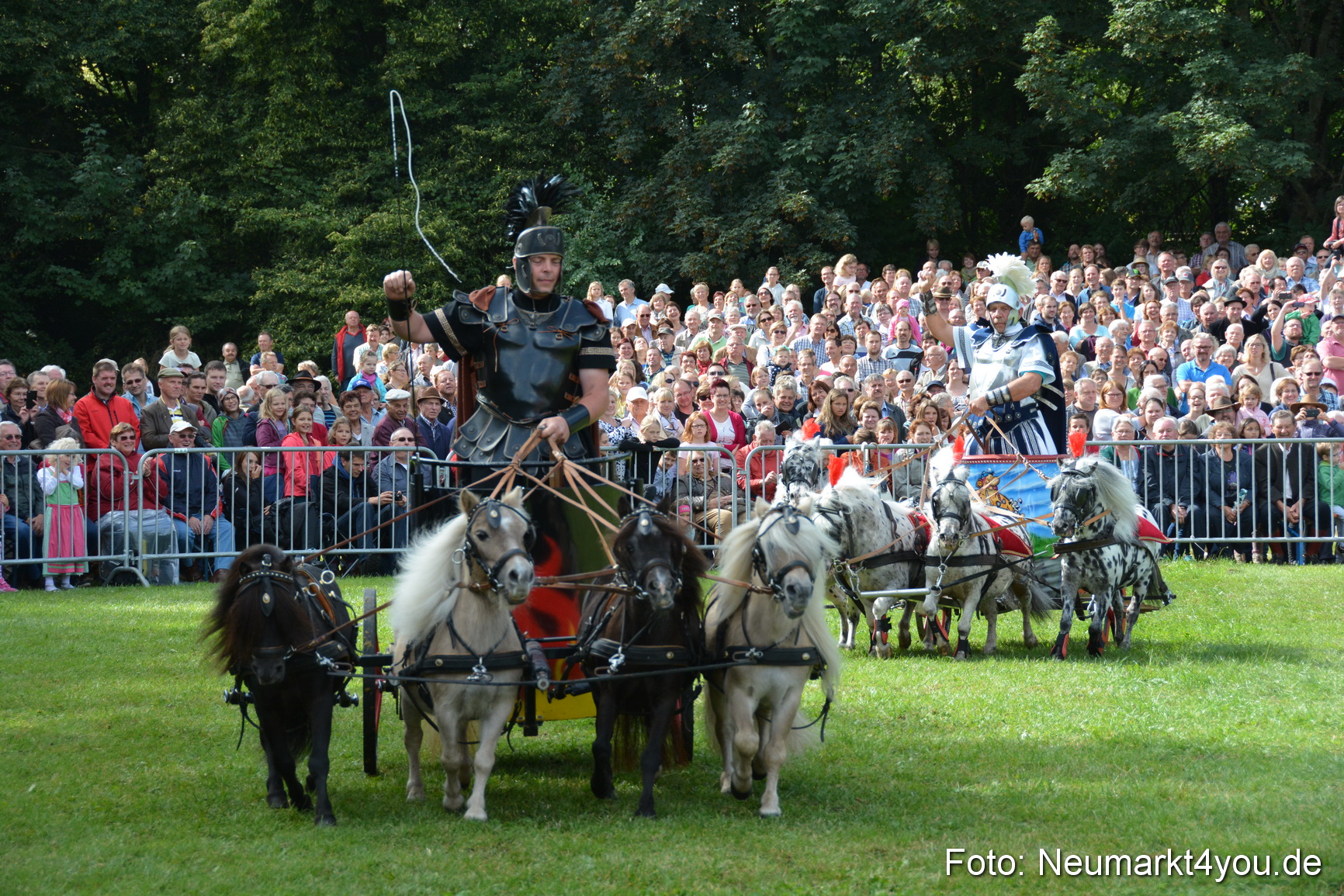 Pferde und Fohlenschau 2016 0258