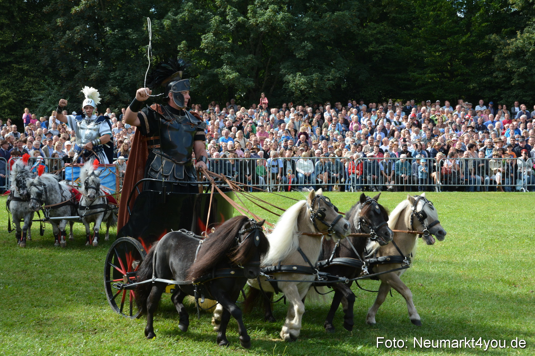 Pferde und Fohlenschau 2016 0259