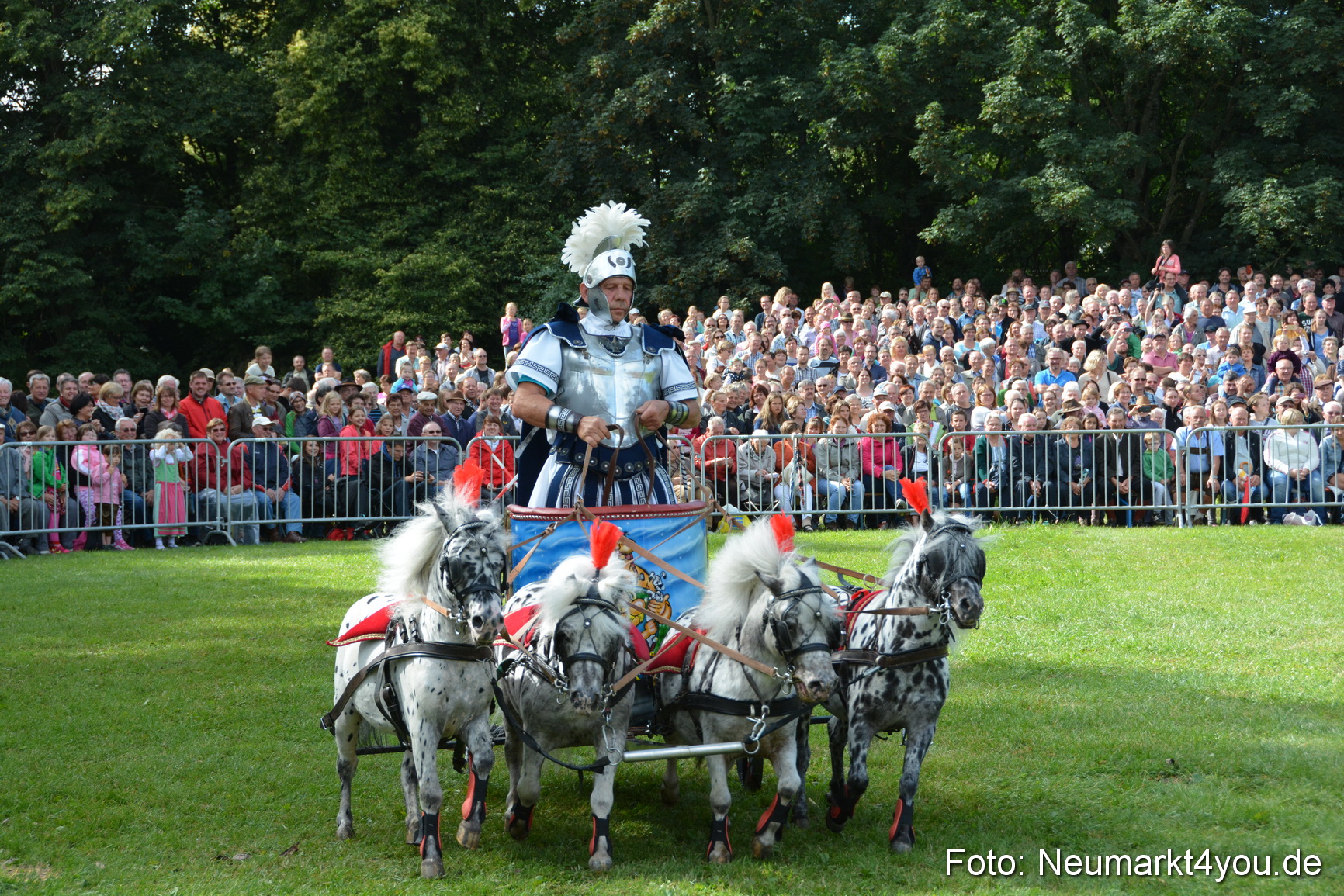 Pferde und Fohlenschau 2016 0260