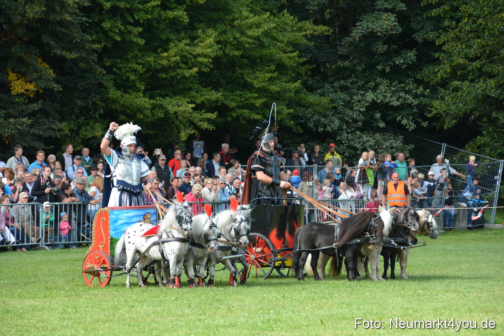 Pferde und Fohlenschau 2016 0261