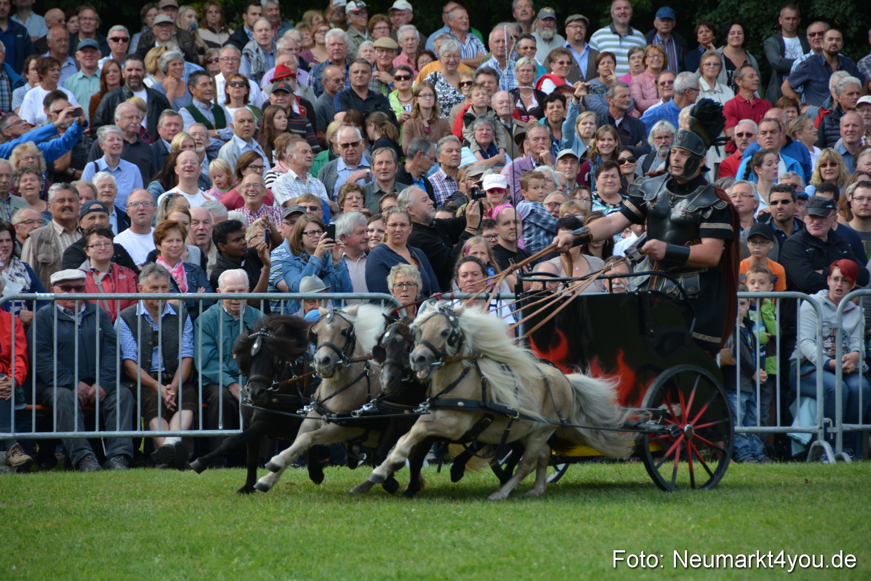 Pferde und Fohlenschau 2016 0262