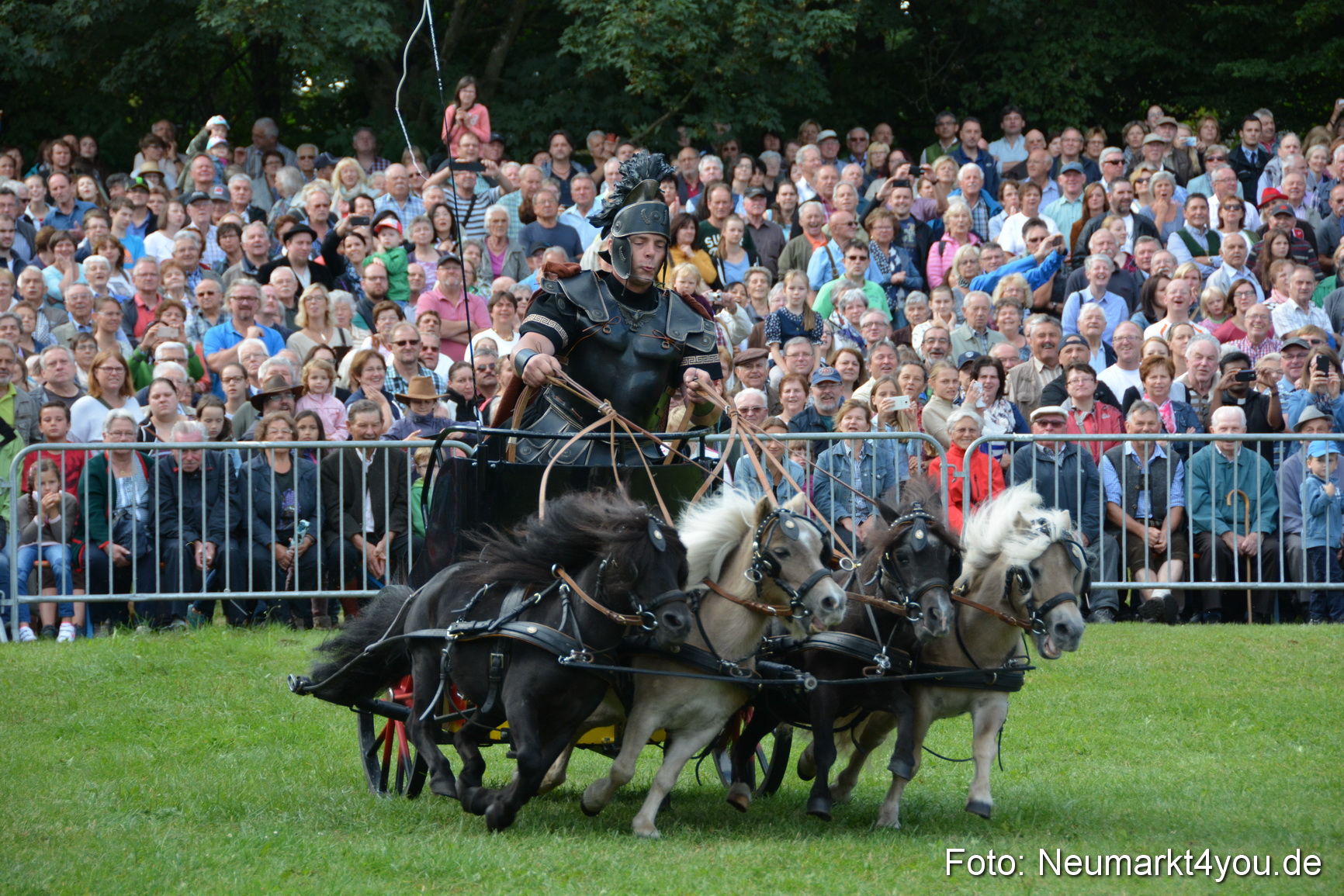 Pferde und Fohlenschau 2016 0263