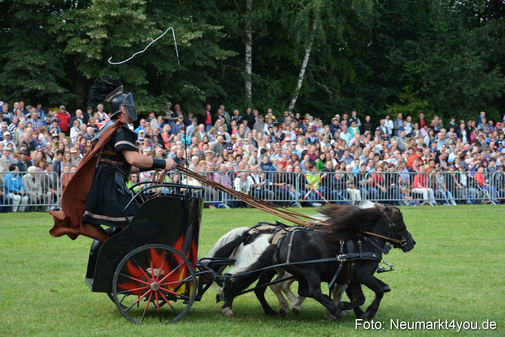 Pferde und Fohlenschau 2016 0264