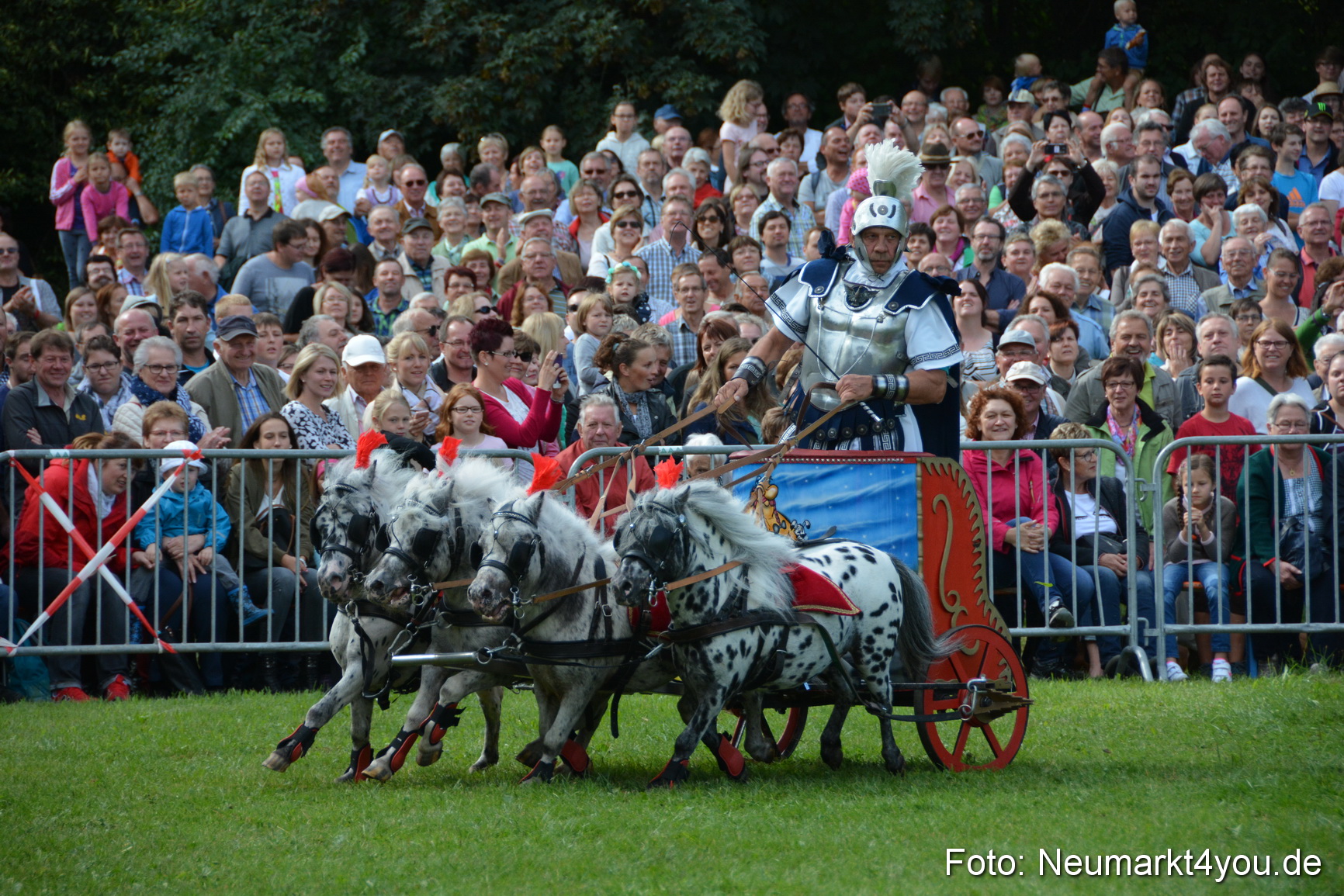 Pferde und Fohlenschau 2016 0265