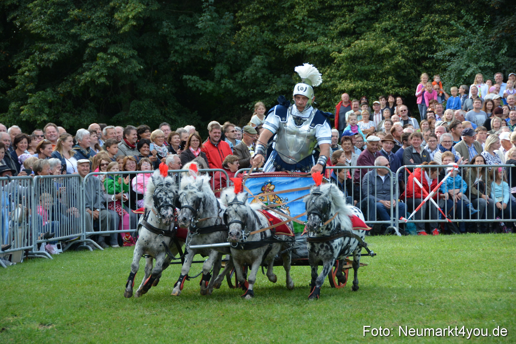Pferde und Fohlenschau 2016 0266