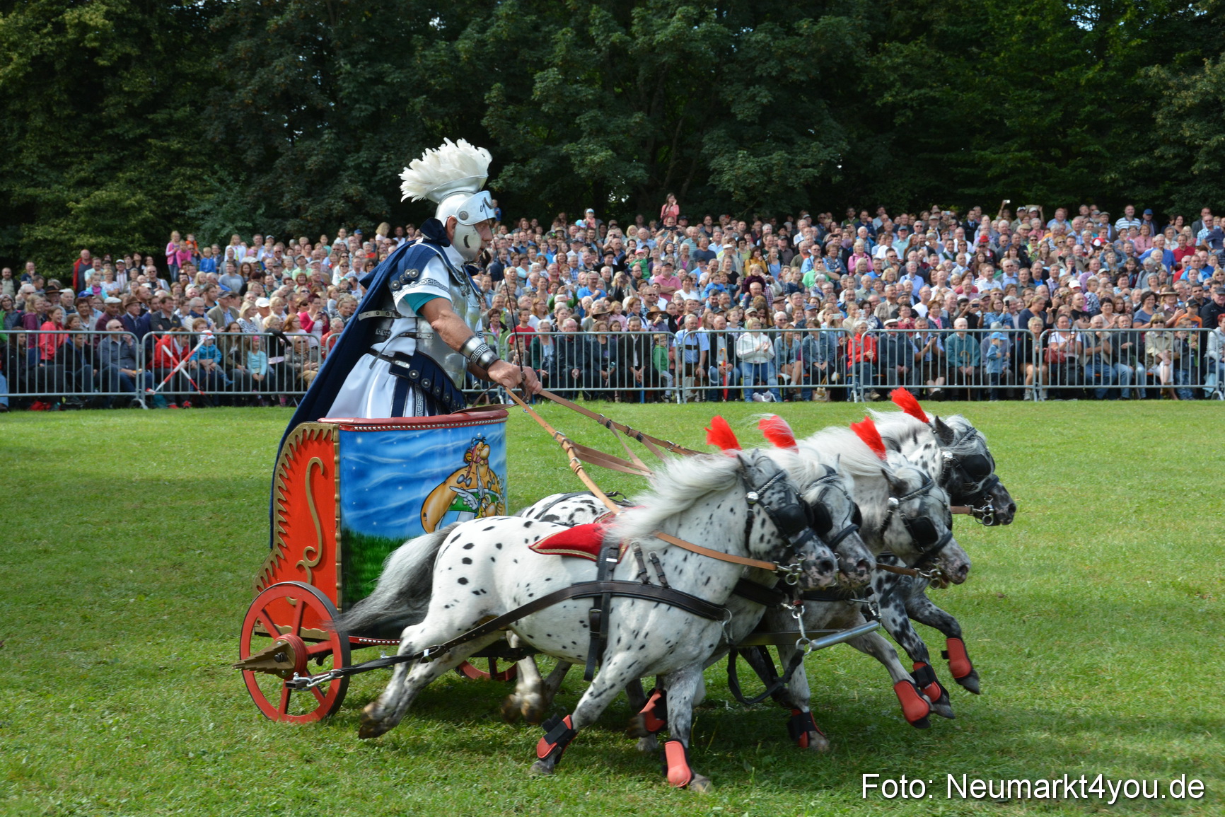 Pferde und Fohlenschau 2016 0267