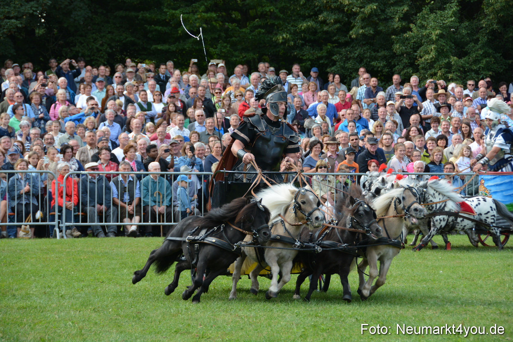 Pferde und Fohlenschau 2016 0268