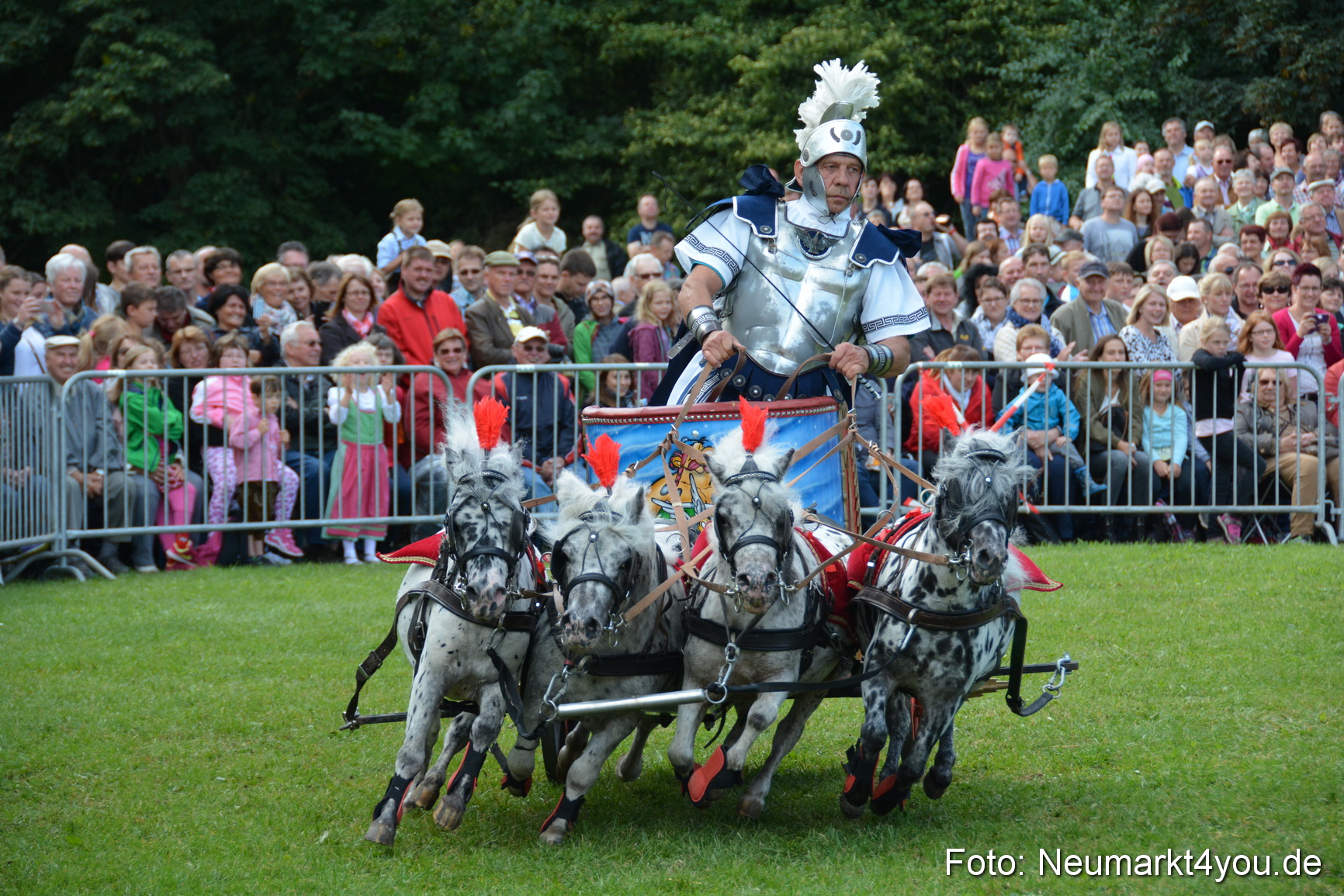 Pferde und Fohlenschau 2016 0269