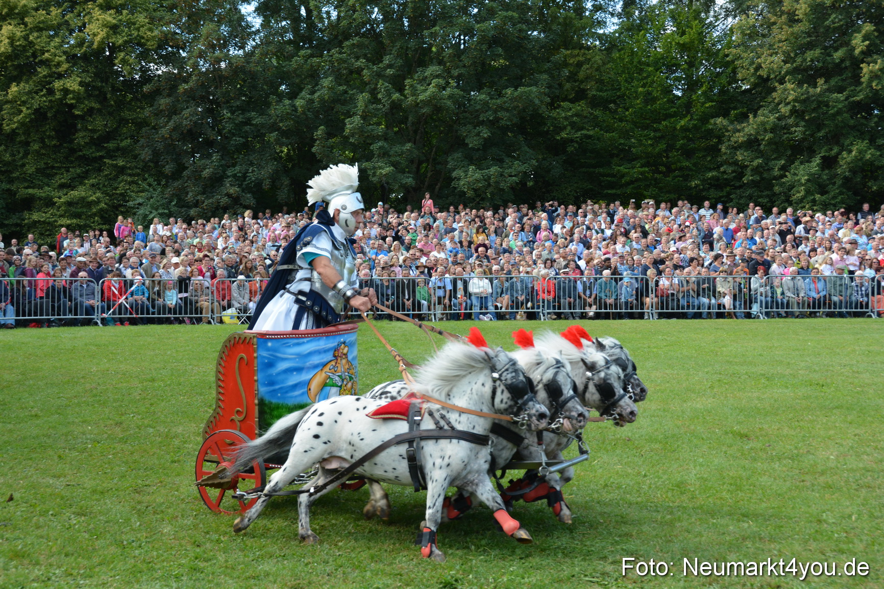 Pferde und Fohlenschau 2016 0270