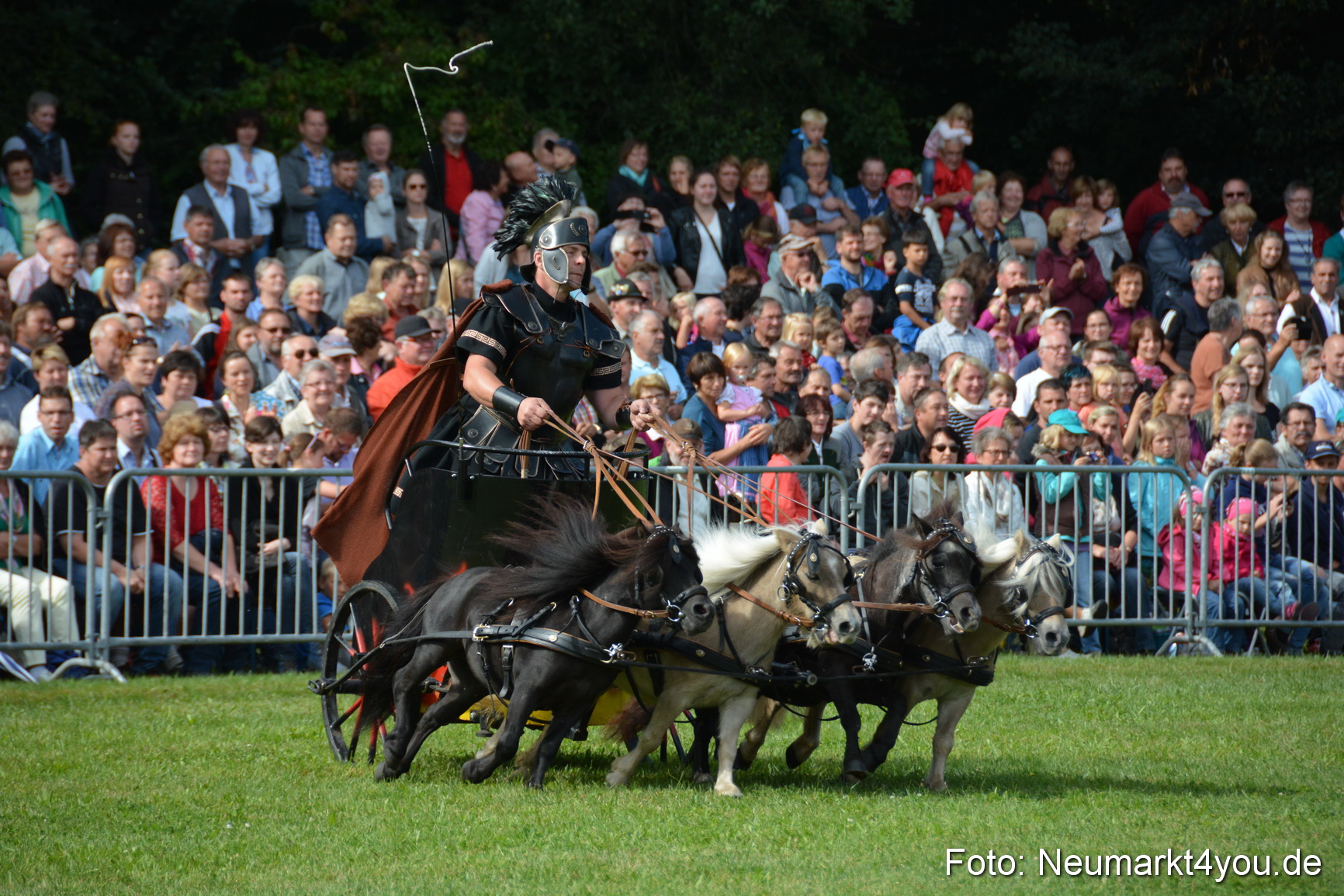 Pferde und Fohlenschau 2016 0271
