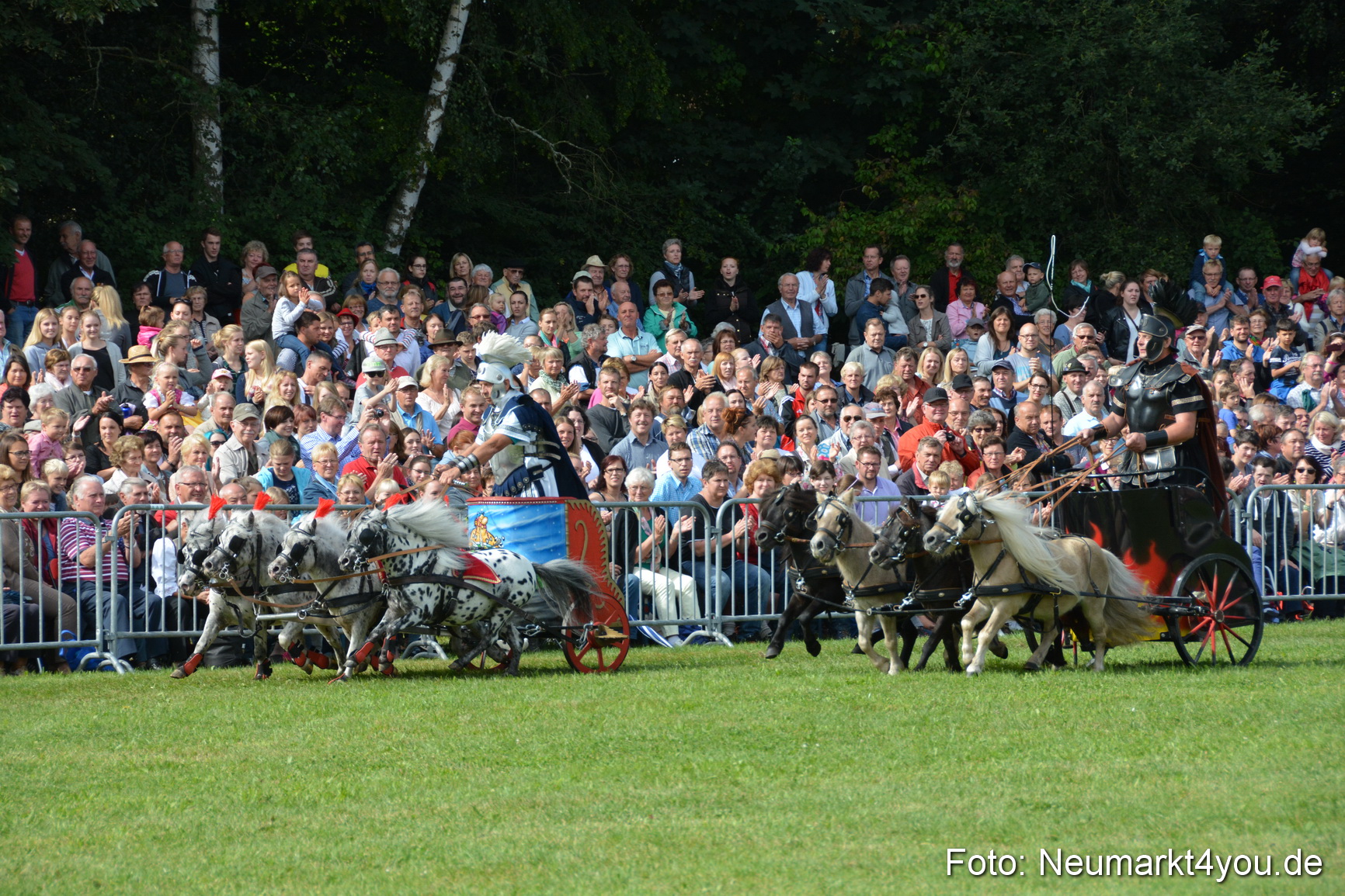 Pferde und Fohlenschau 2016 0272