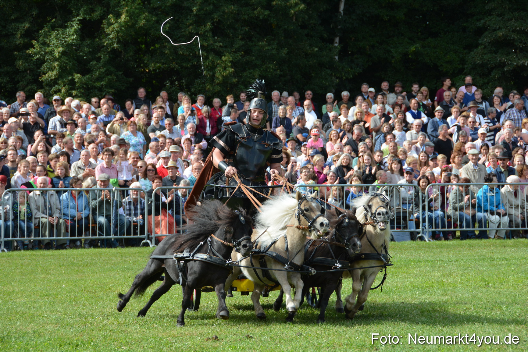 Pferde und Fohlenschau 2016 0273