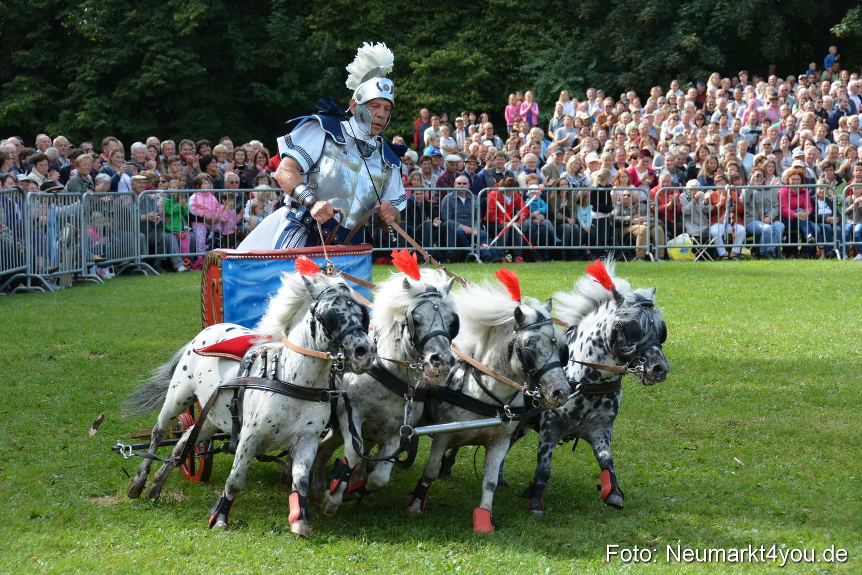 Pferde und Fohlenschau 2016 0274