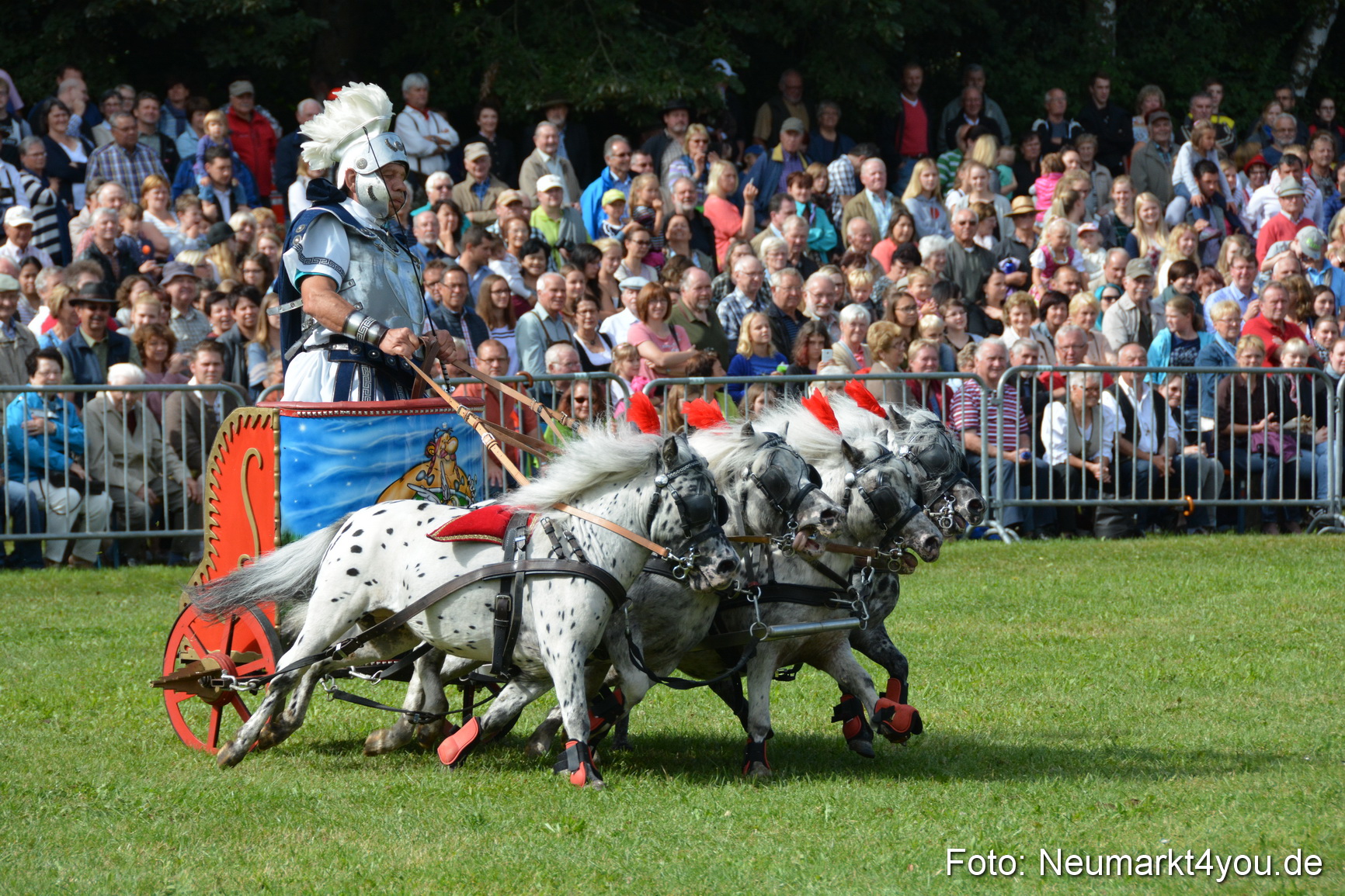 Pferde und Fohlenschau 2016 0275