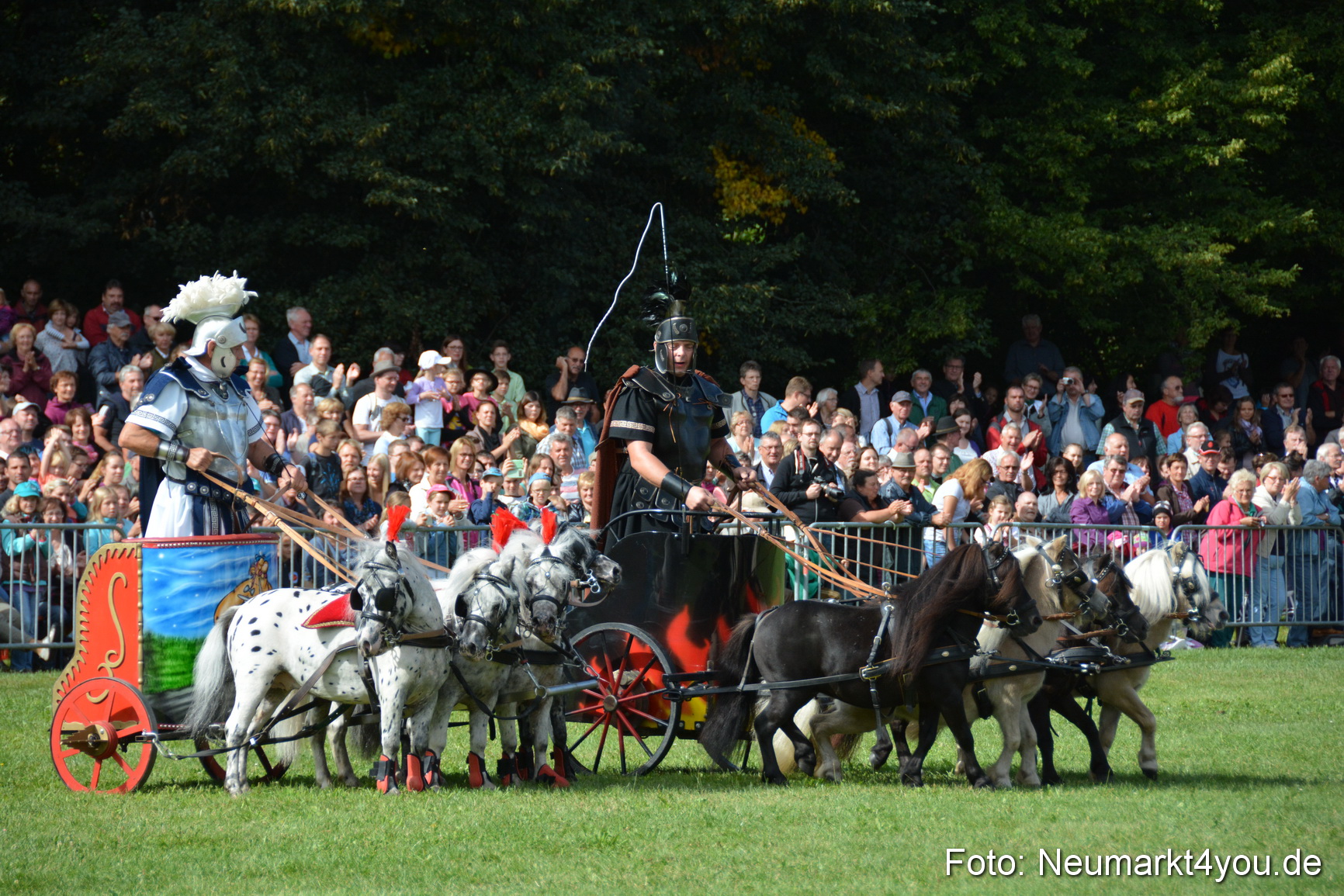 Pferde und Fohlenschau 2016 0276