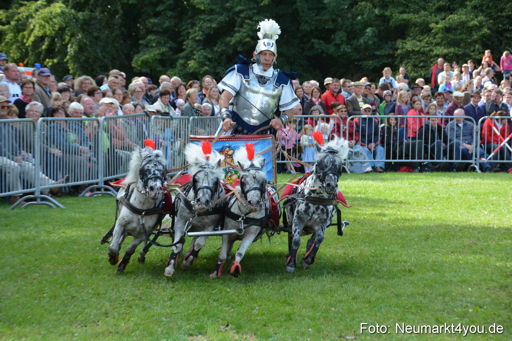 Pferde und Fohlenschau 2016 0277