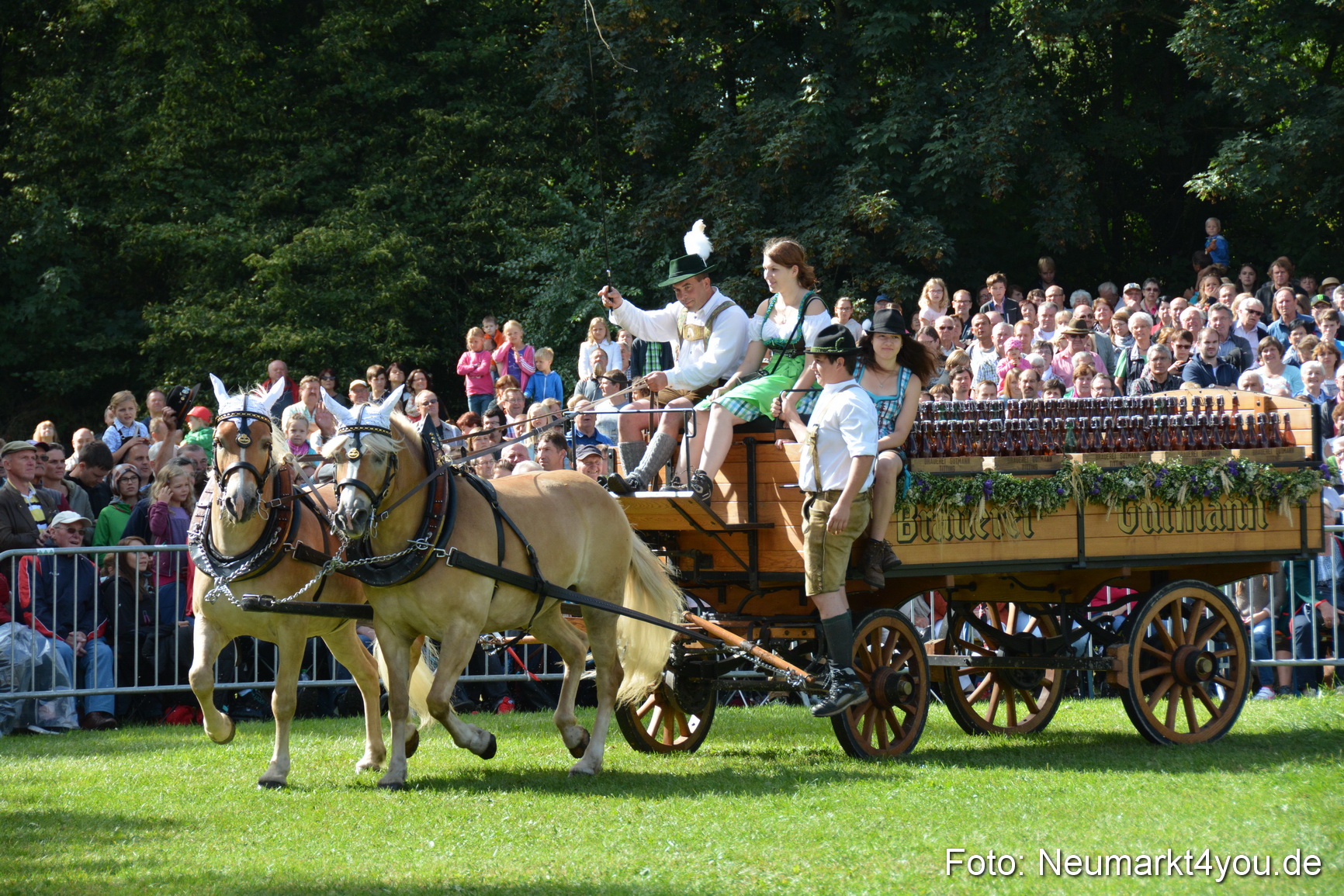 Pferde und Fohlenschau 2016 0278