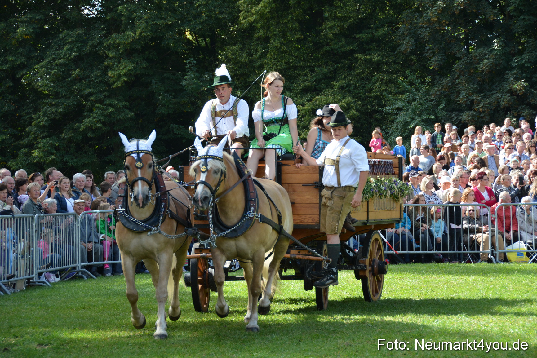 Pferde und Fohlenschau 2016 0279