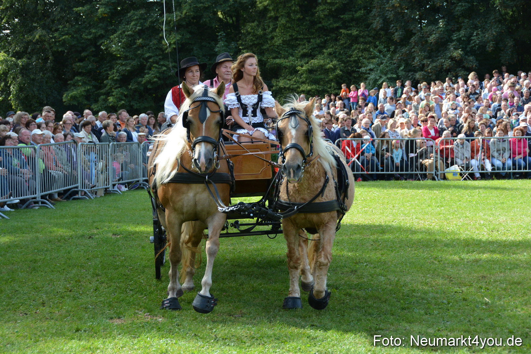 Pferde und Fohlenschau 2016 0281