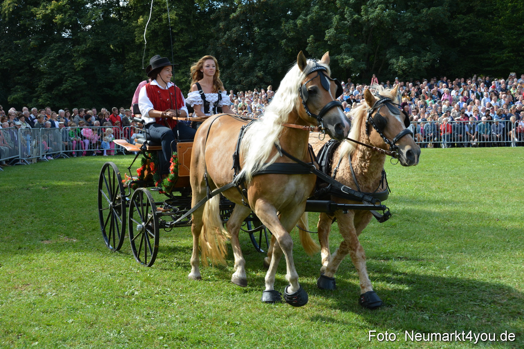 Pferde und Fohlenschau 2016 0282