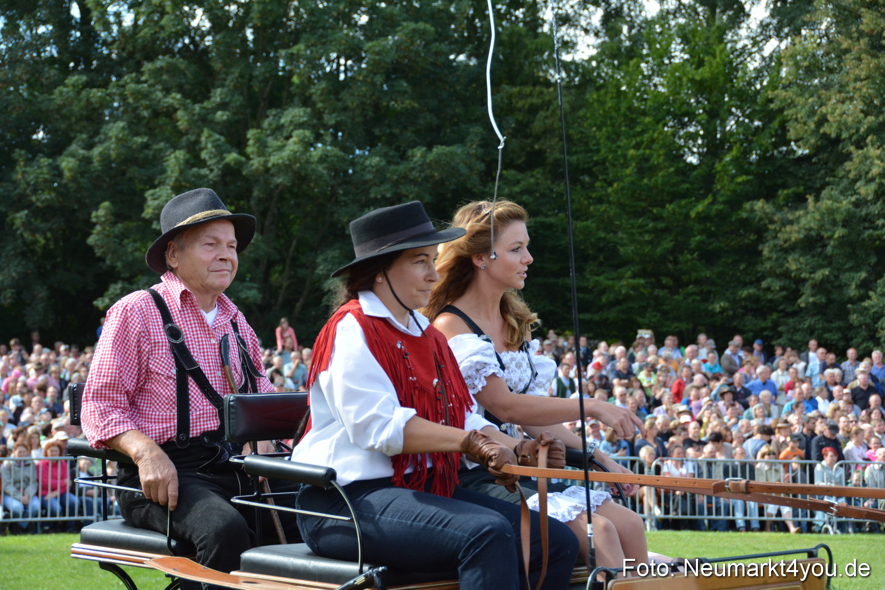 Pferde und Fohlenschau 2016 0283