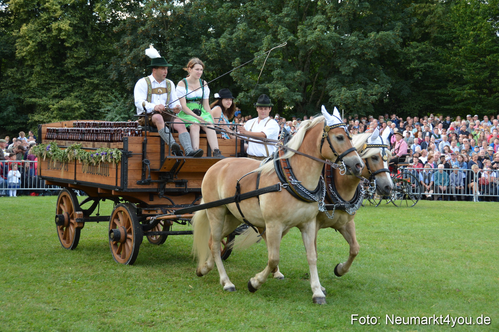 Pferde und Fohlenschau 2016 0284