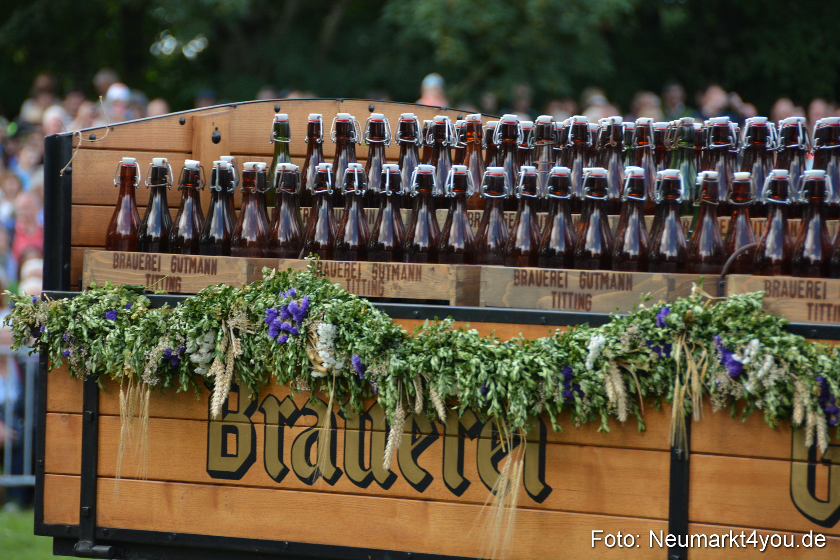 Pferde und Fohlenschau 2016 0285
