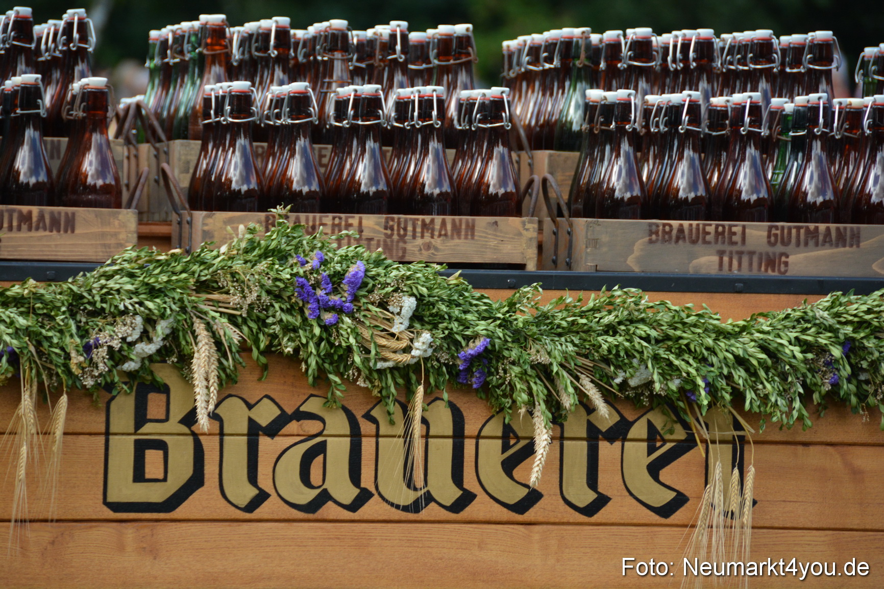 Pferde und Fohlenschau 2016 0286