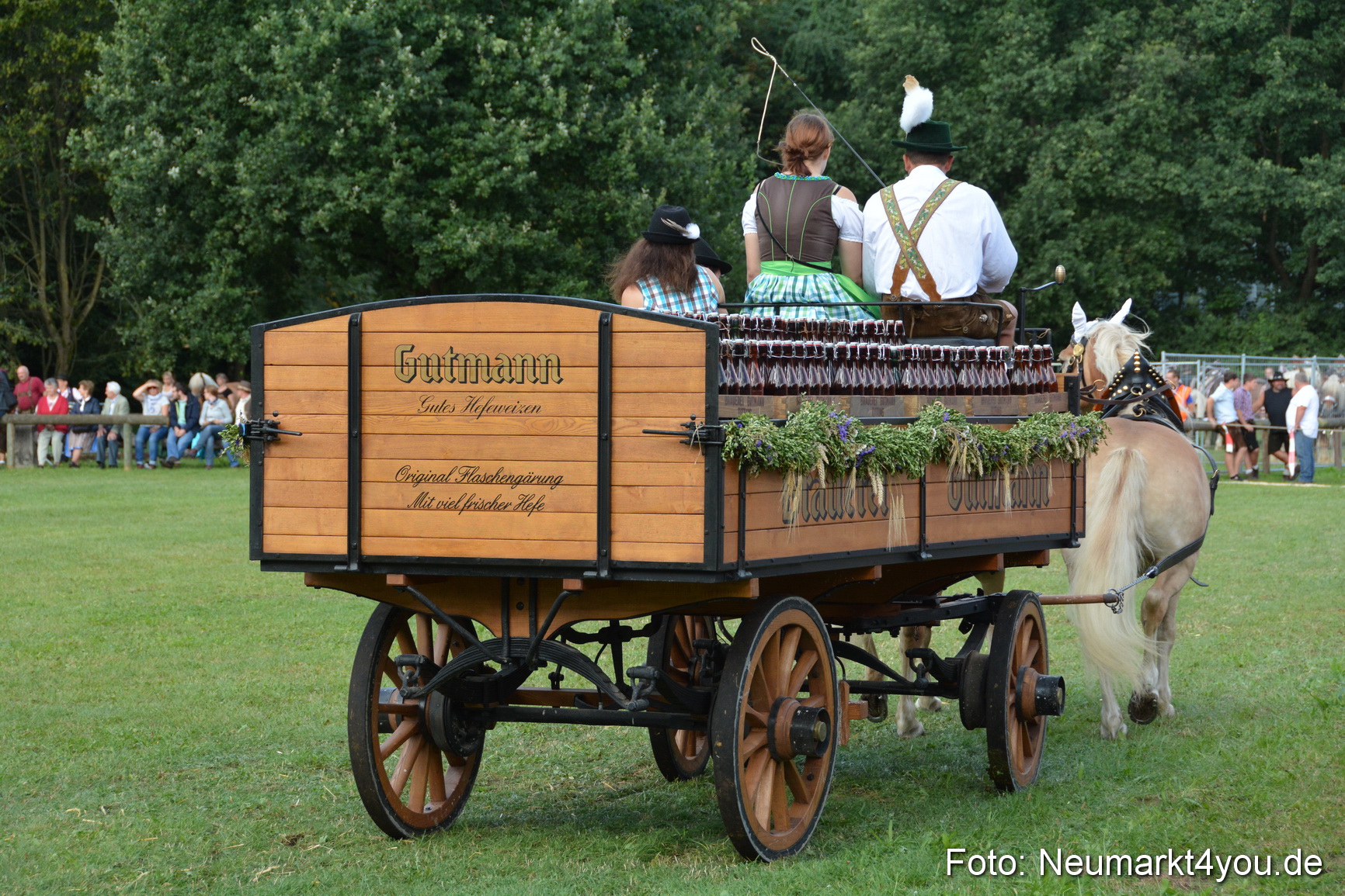 Pferde und Fohlenschau 2016 0287