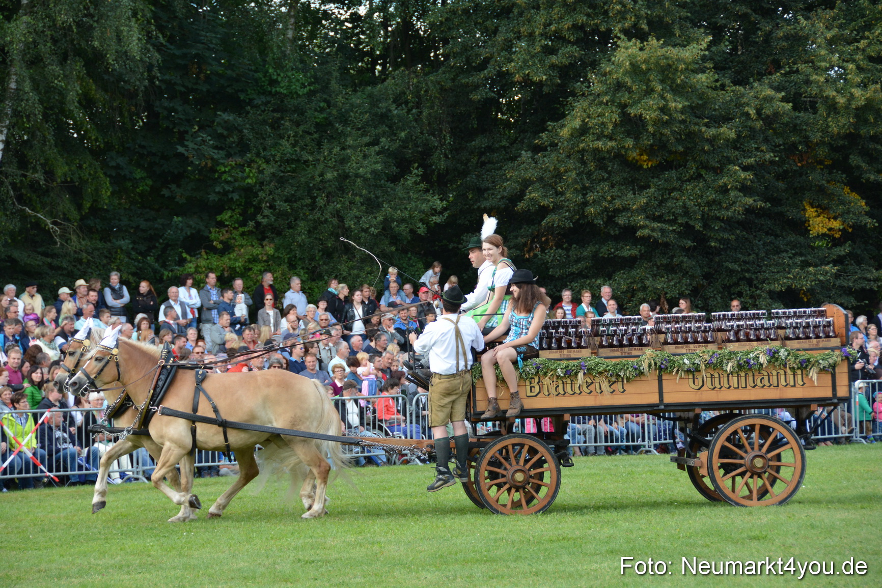 Pferde und Fohlenschau 2016 0288
