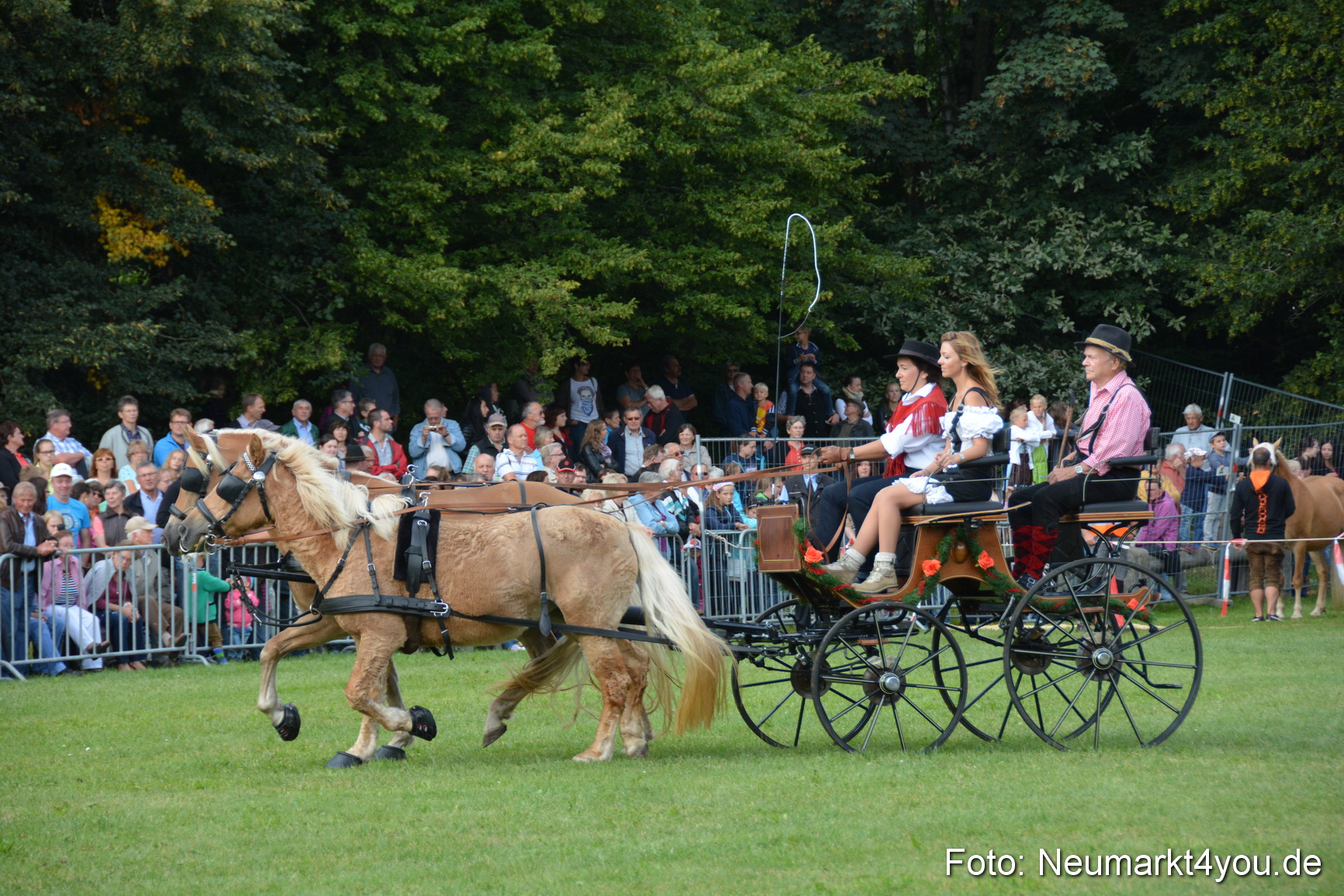 Pferde und Fohlenschau 2016 0289