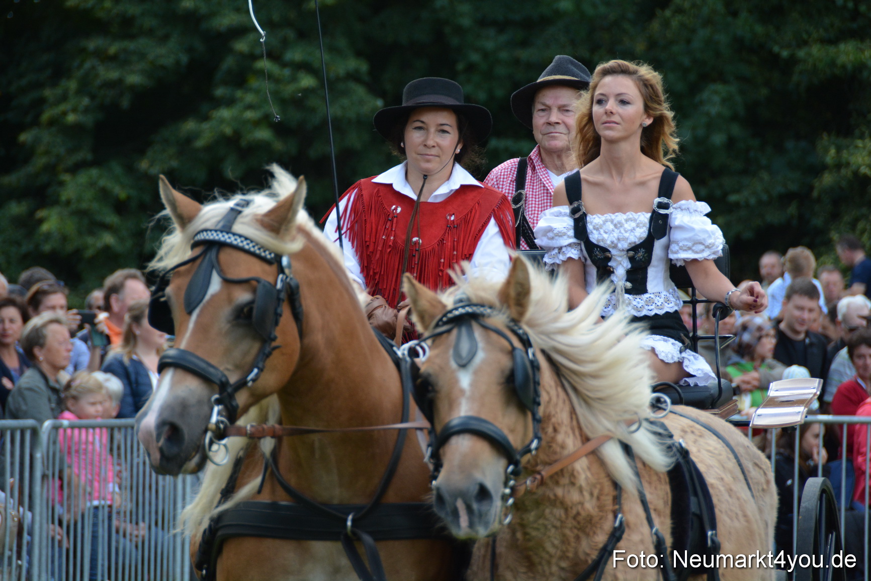 Pferde und Fohlenschau 2016 0291