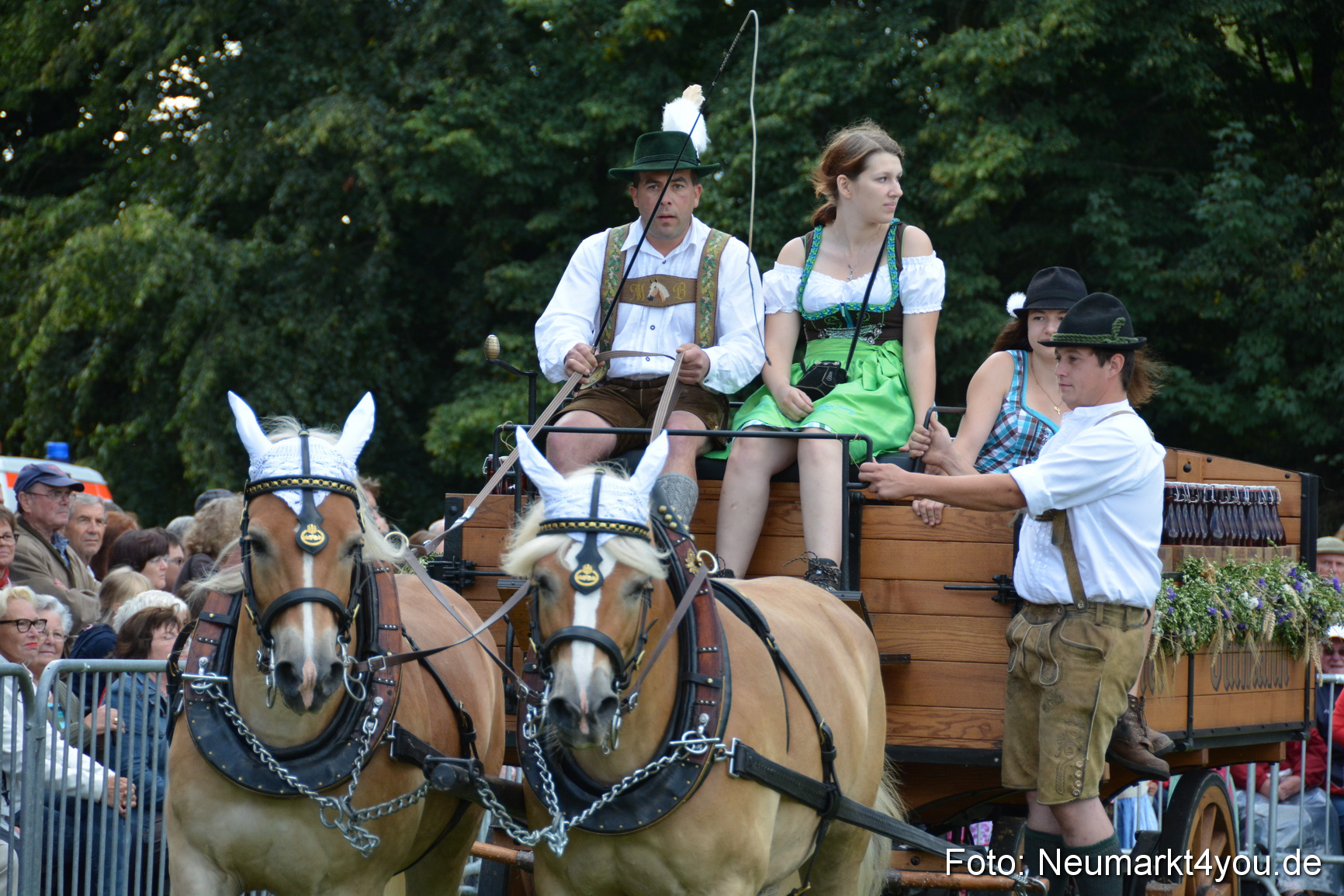 Pferde und Fohlenschau 2016 0292