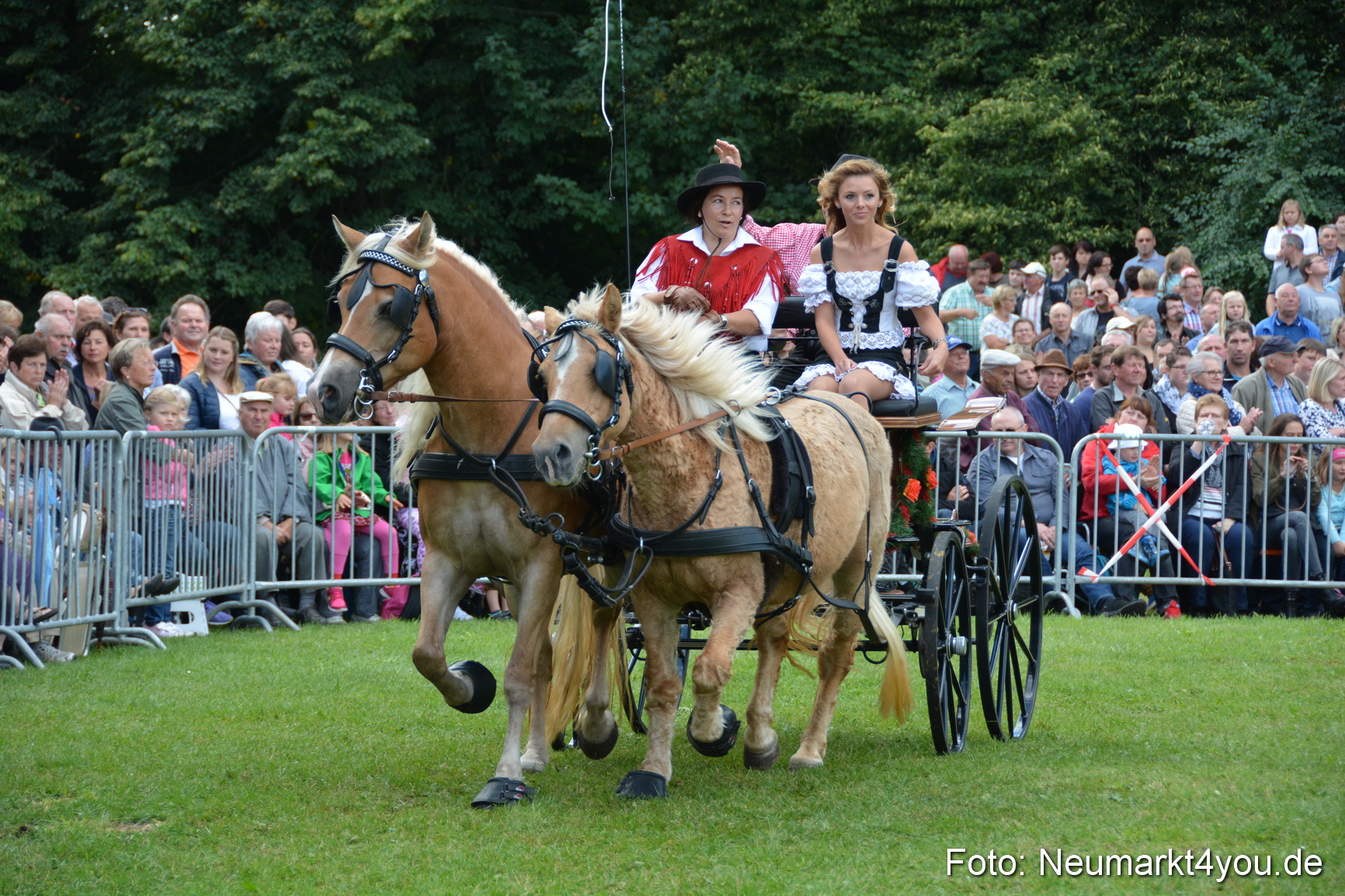 Pferde und Fohlenschau 2016 0293
