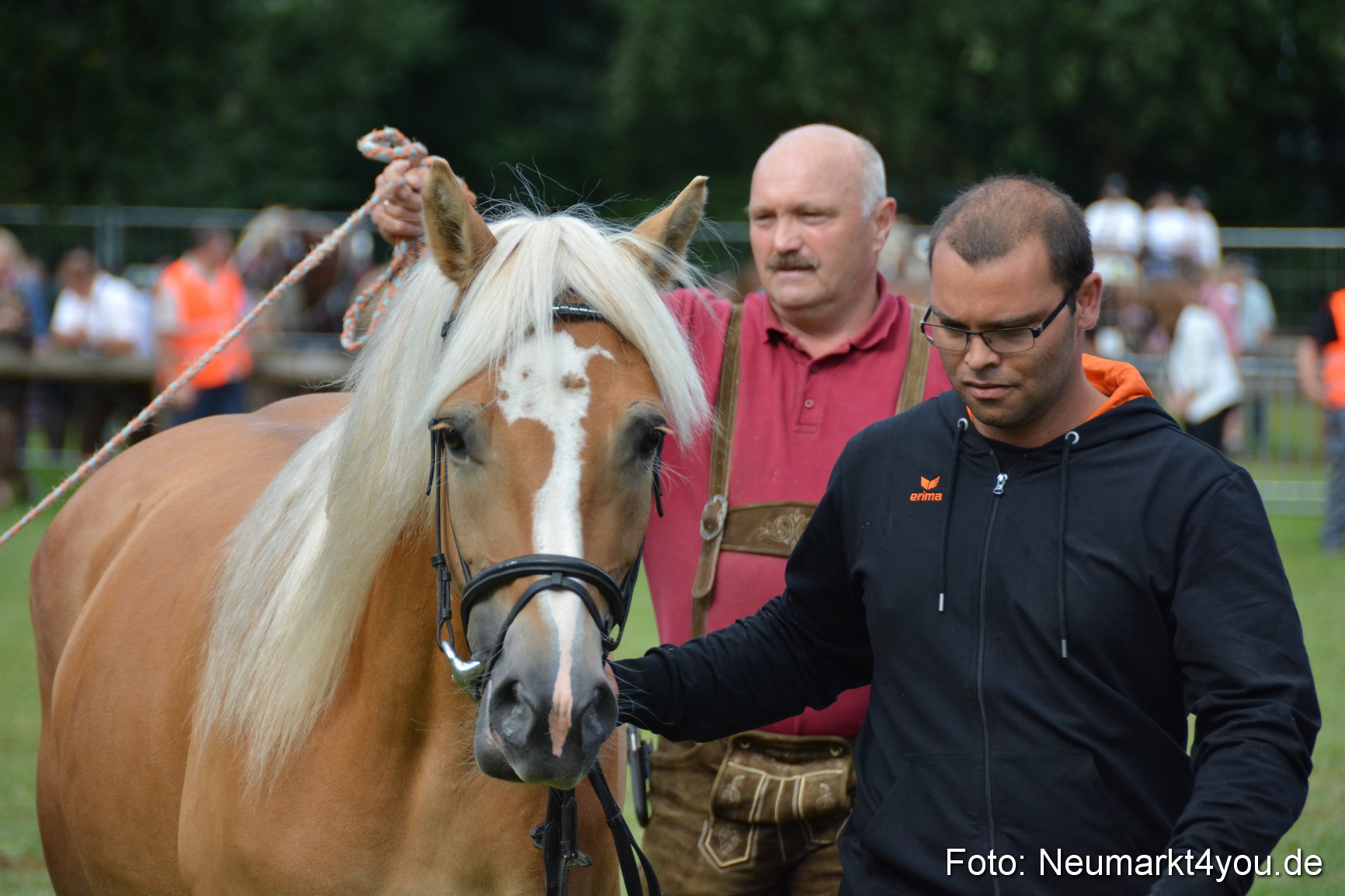 Pferde und Fohlenschau 2016 0297