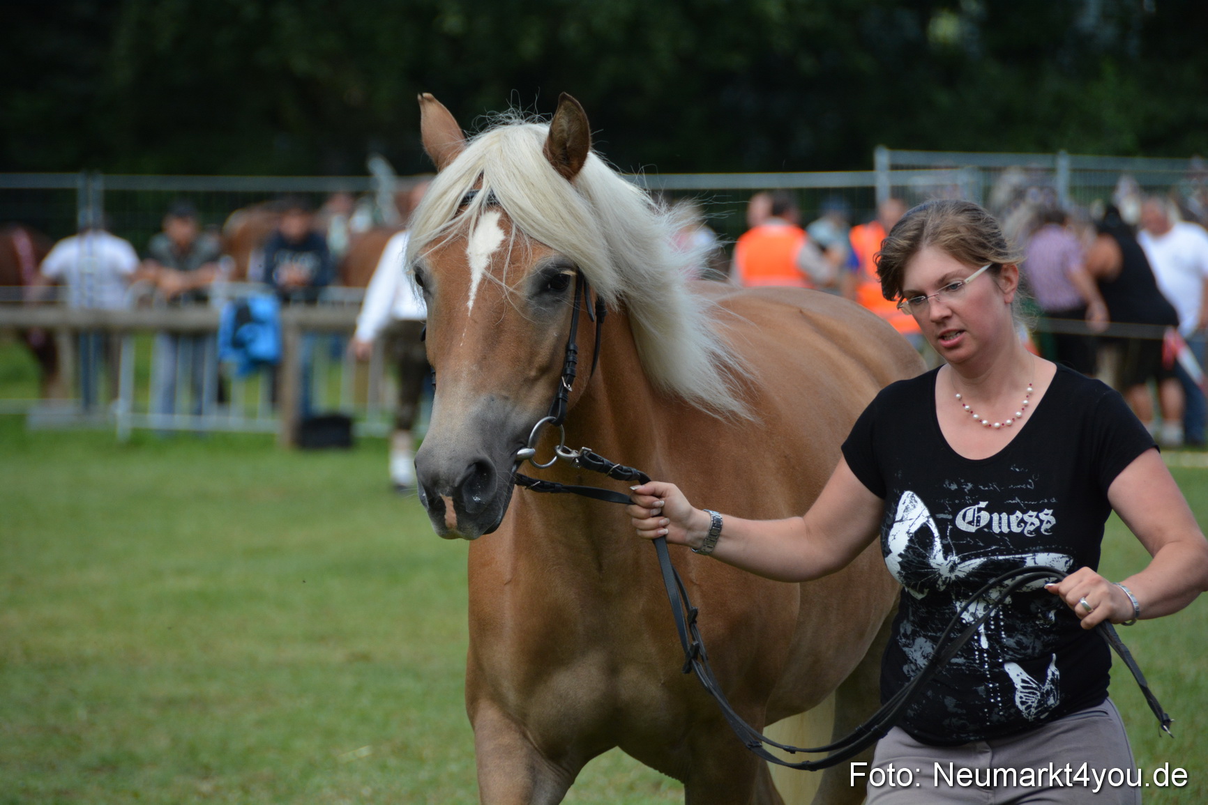 Pferde und Fohlenschau 2016 0302
