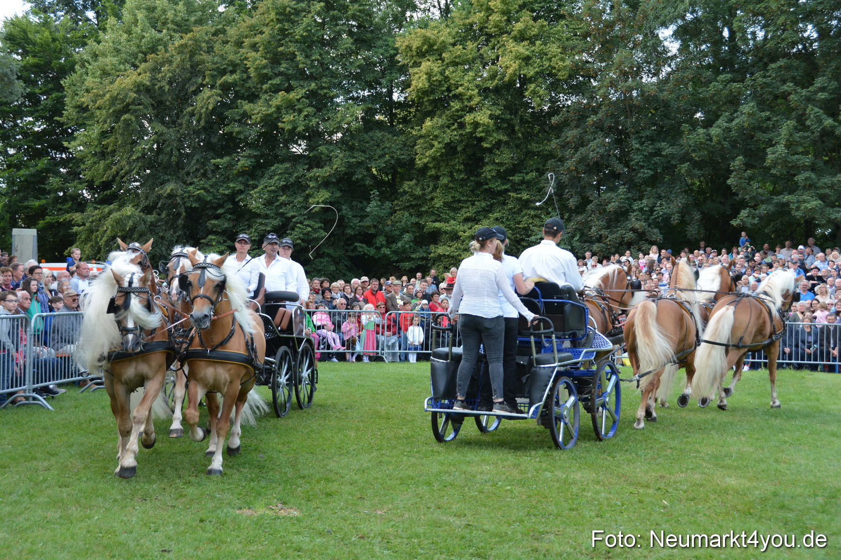 Pferde und Fohlenschau 2016 0306