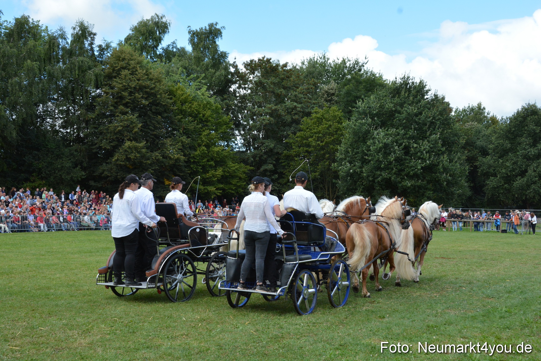 Pferde und Fohlenschau 2016 0318